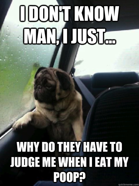 I don't know man, I just... why do they have to judge me when i eat my poop?  Introspective Pug