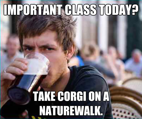 Important class today? take corgi on a naturewalk.  College Senior