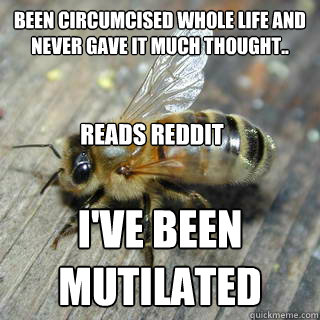 Been circumcised whole life and never gave it much thought.. i've been mutilated rEADS rEDDIT  Hivemind bee
