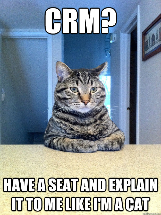 CRM? Have a seat and explain it to me like I'm a cat  Chris Hansen Cat