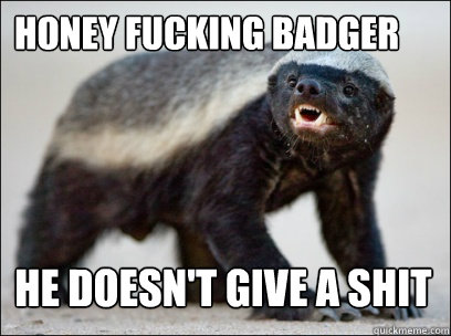 honey fucking badger He doesn't give a shit  