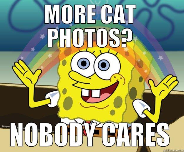 MORE CAT PHOTOS? NOBODY CARES Nobody Cares
