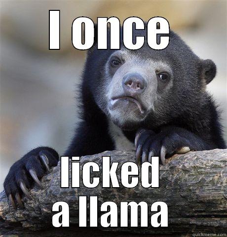 I ONCE LICKED A LLAMA Confession Bear