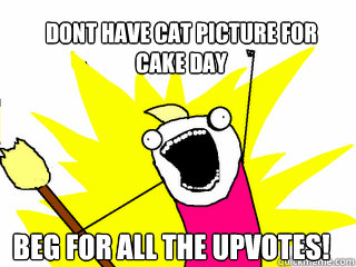Dont have cat picture for
cake day beg for all the upvotes!  All The Things
