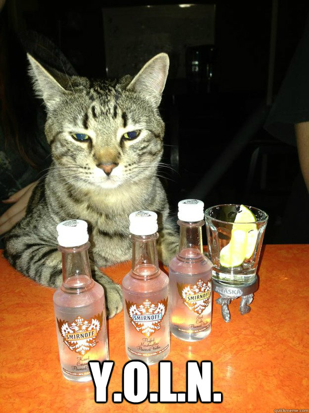  Y.O.L.N. -  Y.O.L.N.  Alcoholic Cat