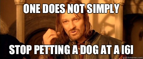 One does not simply Stop petting a dog at a [6]  One Does Not Simply