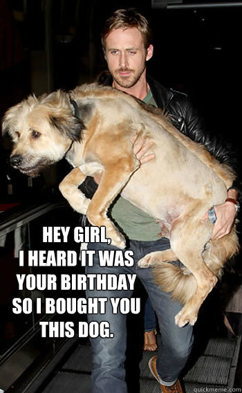 Hey Girl, 
I heard it was your birthday so I bought you this dog. - Hey Girl, 
I heard it was your birthday so I bought you this dog.  Hey girl happy birthday