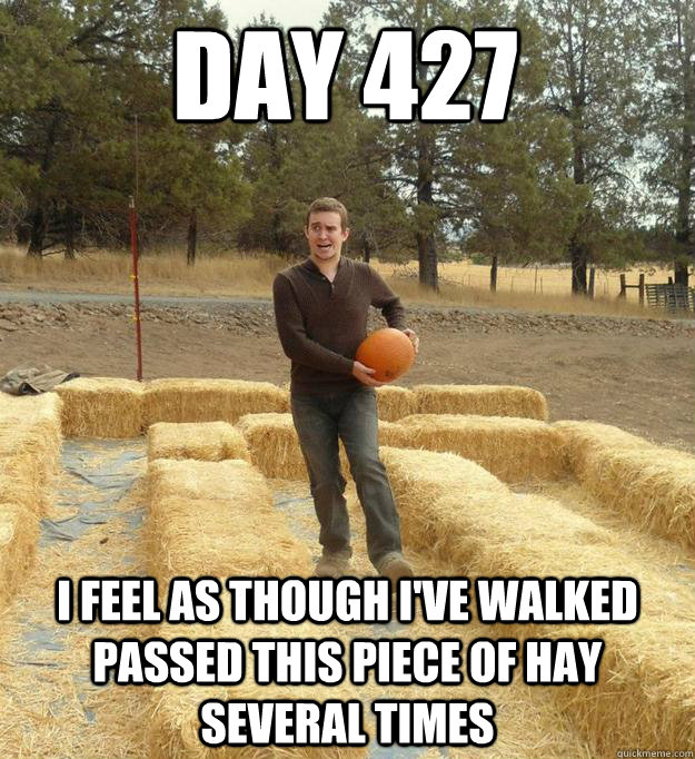 day 427 I feel as though I've walked passed this piece of hay several times - day 427 I feel as though I've walked passed this piece of hay several times  stumped by simplicity
