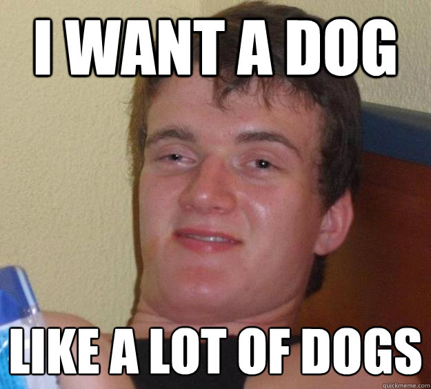 I want a dog  like a lot of dogs - I want a dog  like a lot of dogs  10 Guy
