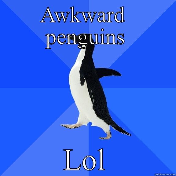 AWKWARD  PENGUINS LOL Socially Awkward Penguin