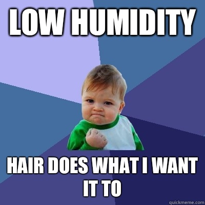 Low humidity Hair does what I want it to - Low humidity Hair does what I want it to  Success Kid