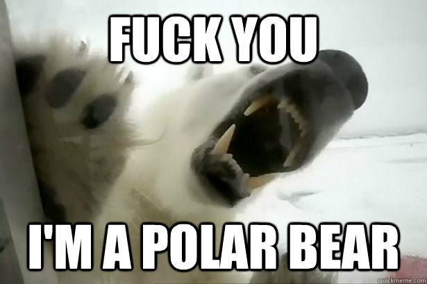 Fuck you I'm a Polar bear - Fuck you I'm a Polar bear  Misc