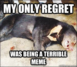 my only regret was being a terrible meme  Dead Confession Bear