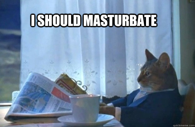 I Should masturbate - I Should masturbate  Sophisticated Cat