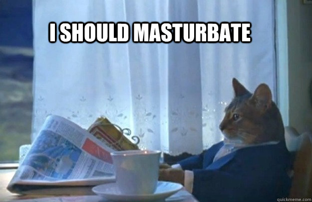 I Should masturbate  Sophisticated Cat