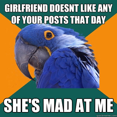 girlfriend doesnt like any of your posts that day she's mad at me  Paranoid Parrot