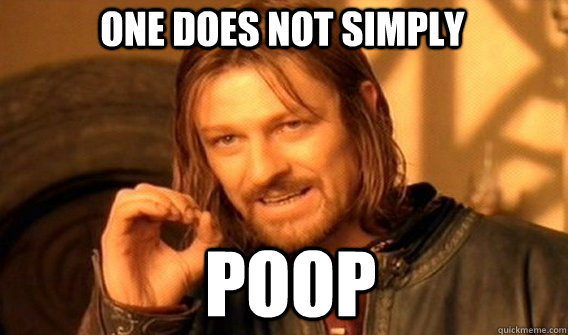 One does not simply Poop  Boromir