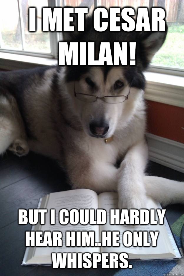 I met Cesar Milan! But I could hardly hear him..he only whispers.  Condescending Literary Pun Dog