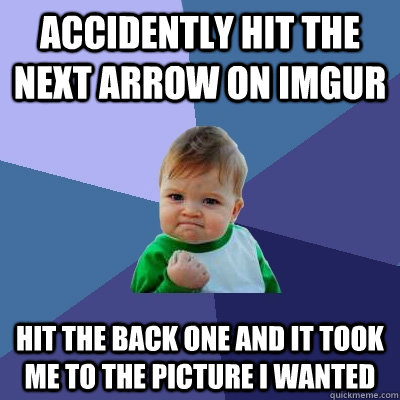 Accidently hit the next arrow on Imgur Hit the back one and it took me to the picture i wanted - Accidently hit the next arrow on Imgur Hit the back one and it took me to the picture i wanted  Success Kid