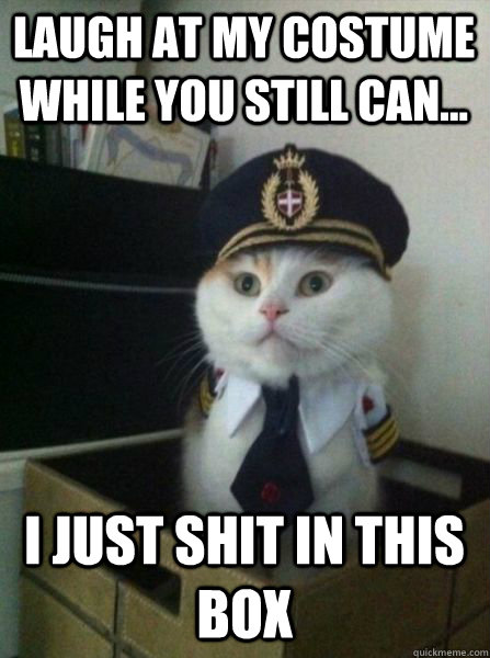 Laugh at my costume while you still can... I just shit in this box  Captain kitteh