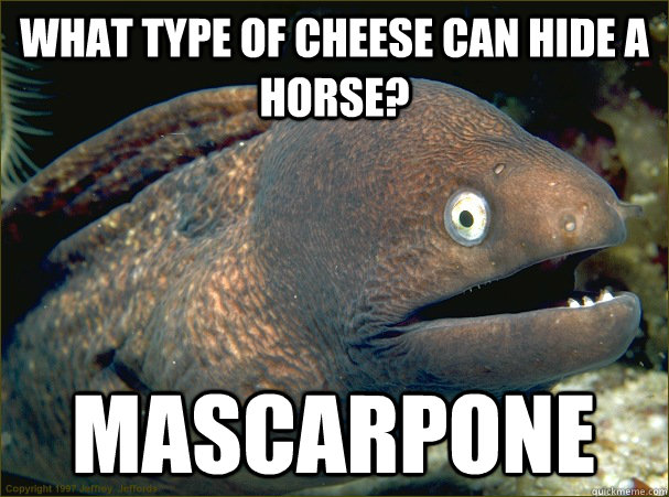What type of cheese can hide a horse? mascarpone  Bad Joke Eel