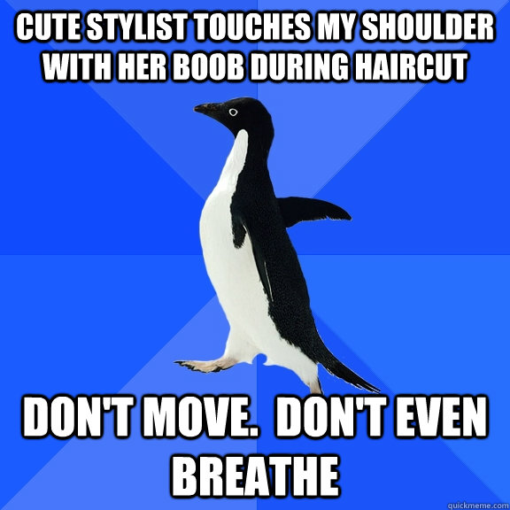 cute stylist touches my shoulder with her boob during haircut DON'T MOVE.  Don't even breathe  Socially Awkward Penguin