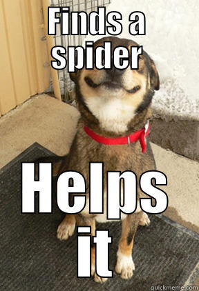 FINDS A SPIDER HELPS IT Good Dog Greg