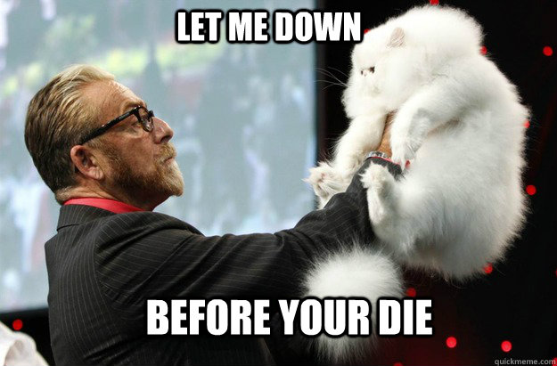 let me down Before your die  Grumpy Cat