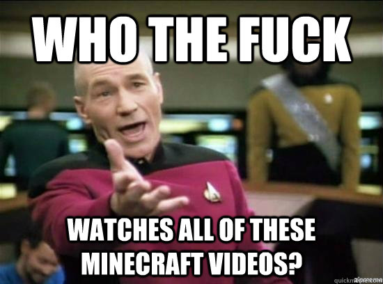 Who the fuck watches all of these minecraft videos?  Annoyed Picard HD