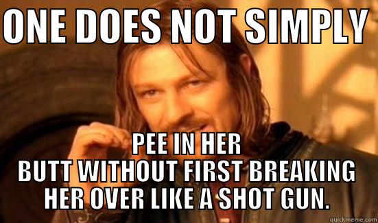 ONE DOES NOT SIMPLY  PEE IN HER BUTT WITHOUT FIRST BREAKING HER OVER LIKE A SHOT GUN. Boromir