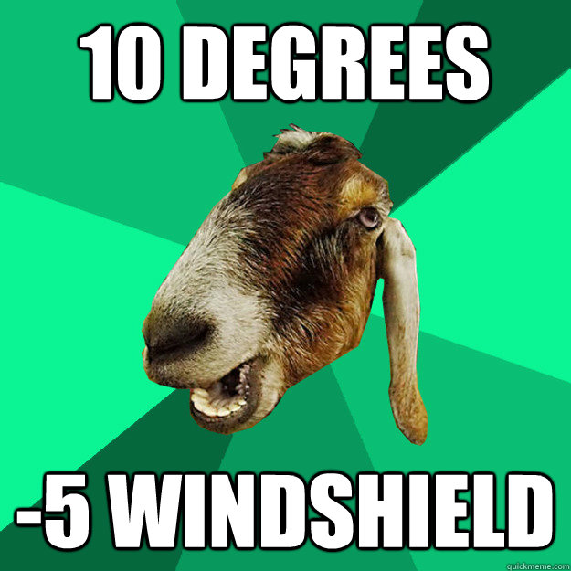 10 degrees -5 Windshield - 10 degrees -5 Windshield  Incorrect Expression Goat