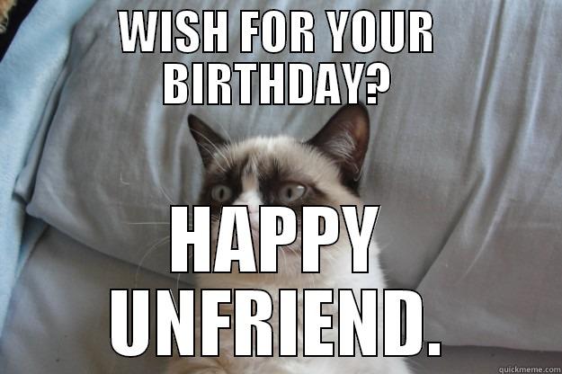 WISH FOR YOUR BIRTHDAY? HAPPY UNFRIEND. Grumpy Cat