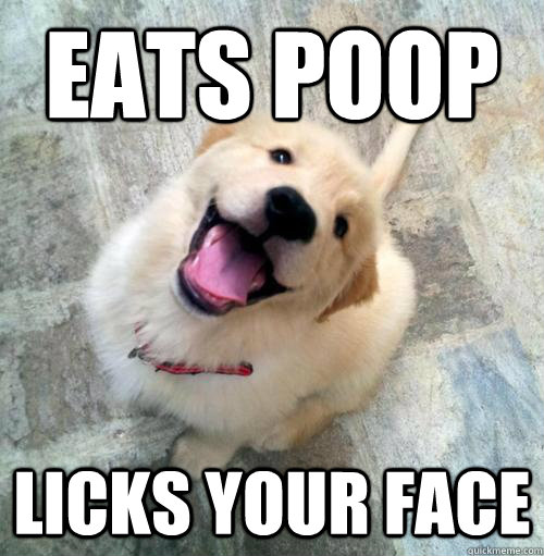 Eats poop licks your face  