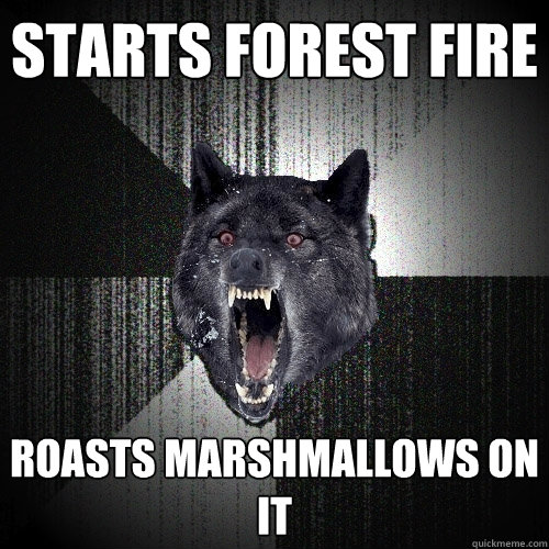 Starts Forest Fire Roasts marshmallows on it  Insanity Wolf
