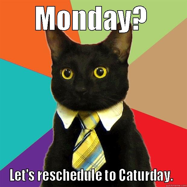 MONDAY? LET'S RESCHEDULE TO CATURDAY.  Business Cat