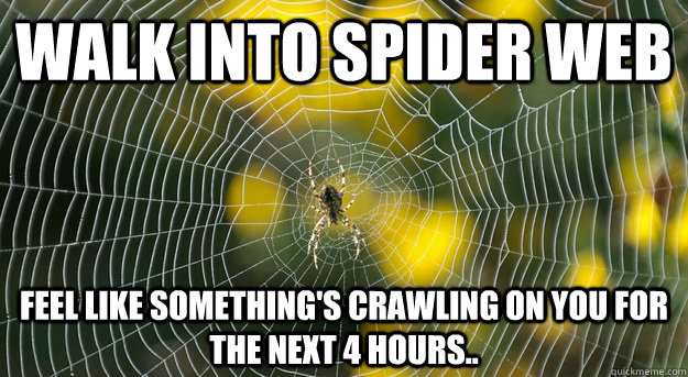Walk into spider web feel like something's crawling on you for the next 4 hours.. - Walk into spider web feel like something's crawling on you for the next 4 hours..  Internet Spider