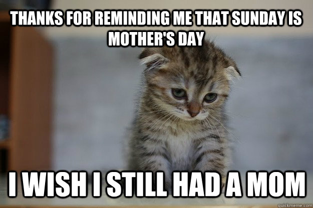 thanks for reminding me that sunday is mother's day i wish i still had a mom  Sad Kitten