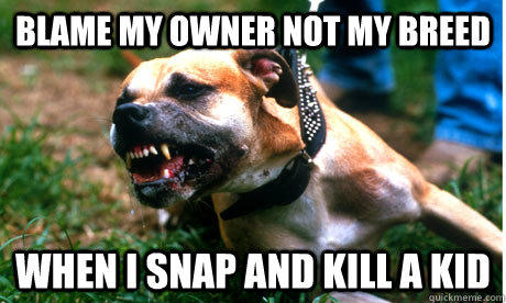 Blame my owner not my breed when i snap and kill a kid  
