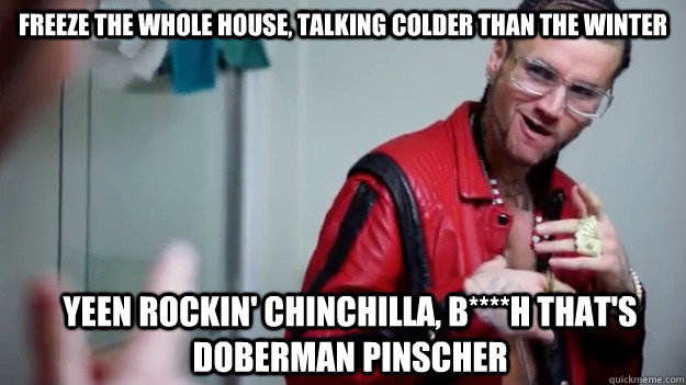 Freeze the whole house, talking colder than the winter Yeen rockin' chinchilla, b****h that's doberman pinscher  
