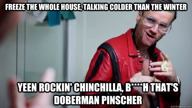 Freeze the whole house, talking colder than the winter Yeen rockin' chinchilla, b****h that's doberman pinscher - Freeze the whole house, talking colder than the winter Yeen rockin' chinchilla, b****h that's doberman pinscher  riff raff