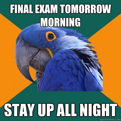 final exam tomorrow morning stay up all night  Paranoid Parrot
