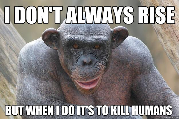 I don't always rise But when I do it's to kill humans  The Most Interesting Chimp In The World