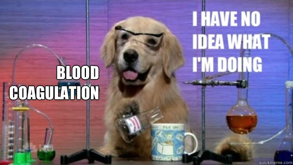 Blood Coagulation   science dog