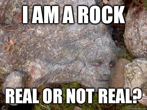 I am a rock Real or not real? - I am a rock Real or not real?  Camouflage Peeta