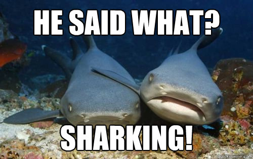 He said what? Sharking!  Compassionate Shark Friend