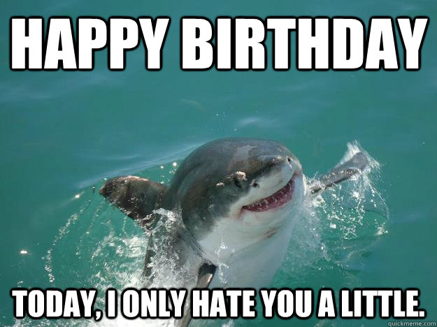 Happy birthday today, i only hate you a little. - Happy birthday today, i only hate you a little.  Misunderstood Shark