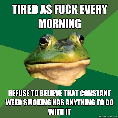 Tired as fuck every morning refuse to believe that constant weed smoking has anything to do with it - Tired as fuck every morning refuse to believe that constant weed smoking has anything to do with it  Foul Bachelor Frog