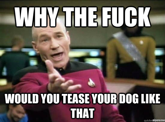 Why the fuck would you tease your dog like that  Annoyed Picard HD