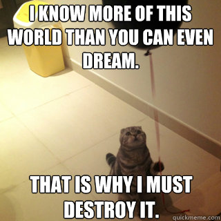 I know more of this world than you can even dream. That is why I must destroy it.  Sad Birthday Cat