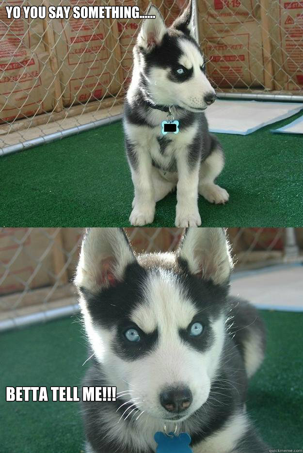 Yo you say something...... Betta tell ME!!!  Insanity puppy